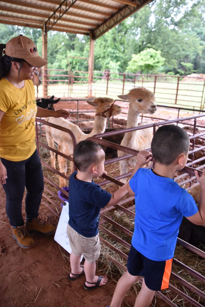 mimosa farm 2019 064 (683x1024).jpg